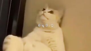 ????????????❤️???? 3