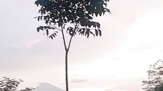 Pemandangan pagi hari