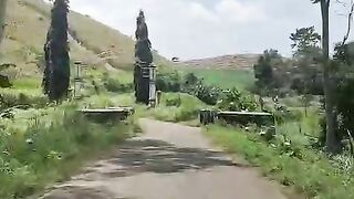 Road in the countryside