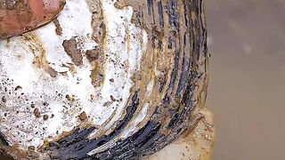 Took shellfish and vegetables and cooked.