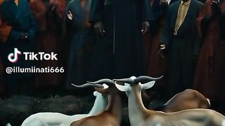 real Illuminati agent call+256768253786/+256705747643