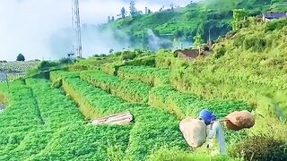 Pemandangan sangat indah..