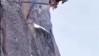 ko bisa