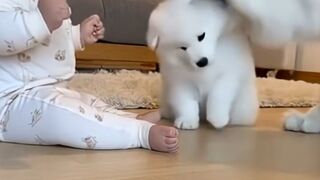 Problem solved by Dog Mom ???? #shorts #trending #funny #baby