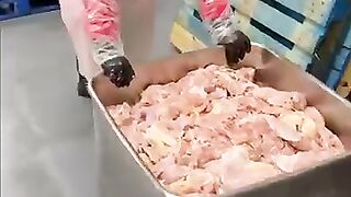 From Factory to Fork: Inside Shah’s Famous Halal Chicken! ????????