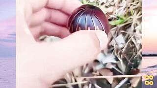 Cantik Tapi Mematikan  versi bola88