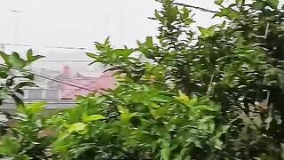 Sound of Rain ASMR