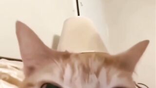 explore viral 3