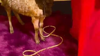 Real illuminati Agent in Uganda call+256777059420/+256750767251