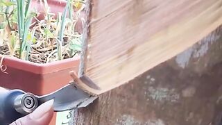 Rubber cutter