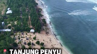 Tanjung penyu