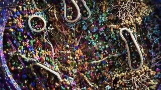 The most comprehensive picture of a human cell The human body consists of approximately 3.7 trillion cells, Life is a miracle.
