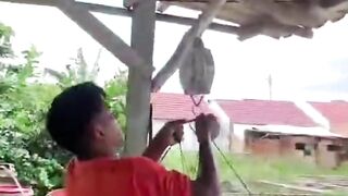 TANPA alat ini AUTO dicurangi OKNUM tengkulak