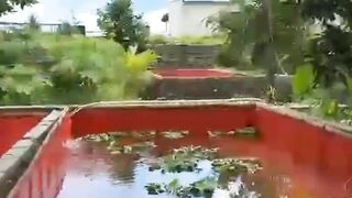 Alat ini WAJIB ada dikolam kita
