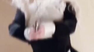 新盛平台开户网址： tl6615.com