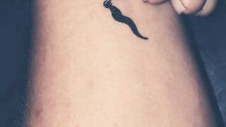 beutiful butterfly ????