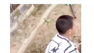 Funny videos 841