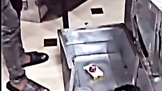 Funny videos 848