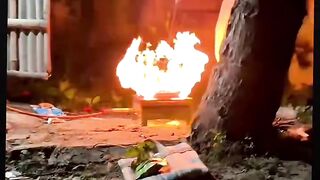 Funny videos 855