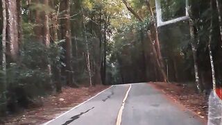 Negara mana yang akan kamu kunjungi