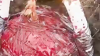 Psychic & Curse Removal || Ex love Back Expert  (447) 901 9727  Washington