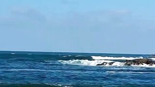 Beautiful nature 297