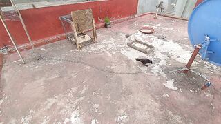 تقديم الاكل للحمام 2