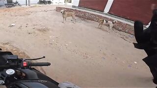 Funny videos 871