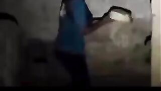 Funny videos 873