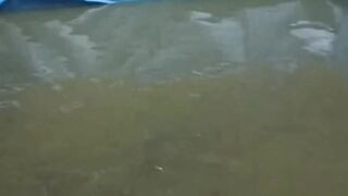 Jika seperti ini berarti kalian sudah berhasil❗PERTAHANKAN