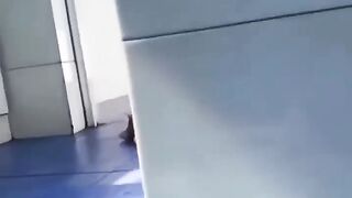 bikin kaget, jantung mau copot  #shorts #shortvideo #funnycatsvideos #kucingimut #cat