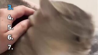 DONT CHECK THE SOUND