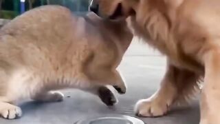 Tamamı Kanalda Mevcut #arabesk #türkçemüzik #duyguşarkılar #keşfet #viral #alizade #anadolurock