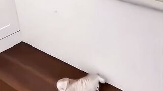 #illustration #tattoo #art #pov #procreate #drawing #whydidntmyexcomeback #digitalart 2