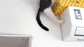 Phillies land All-Star closer Jhoan Duran ahead of MLB trade deadline  #jhoanduran