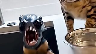 #illustration #tattoo #art #pov #procreate #drawing #whydidntmyexcomeback