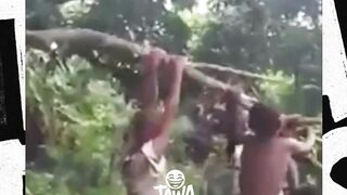langsung ilang der wkwk