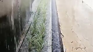 The rain is coming ASMR