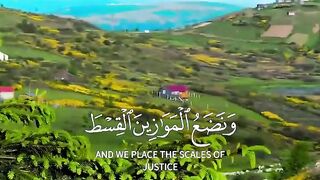 Quran Majeed Tilawat 4