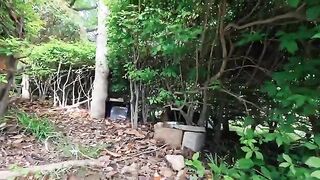 It emerged from under the bushes... and when I approached, the cat came over to be petted, and it was just too cute.
