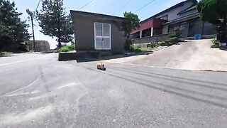 I spotted this cat below the shrine on Cat Island. When I petted it, it moved to the shade and stretched out, it was just too cute!
