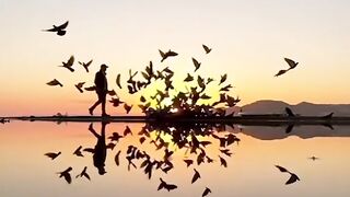 I love sunset