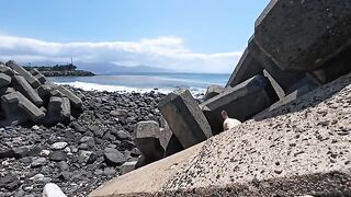 When I sat on the steps by the sea, a cat from the breakwater came out to get petted.