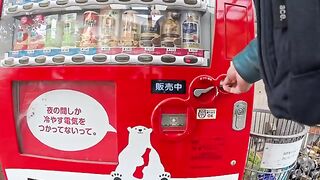 Buy a can of coffee from a vending machine on the island and sit on the stone steps, and you're in a cat cafe.
