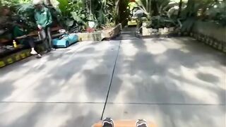Funny videos 891