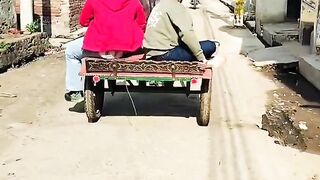 Funny videos 894
