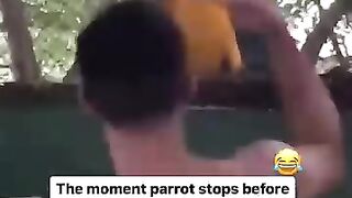 Funny videos 897