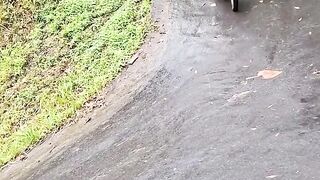 Funny videos 900