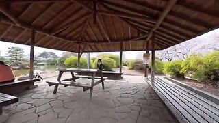 The gazebo in the park unexpectedly became a gathering place for cats... Before I knew it, I was surrounded.