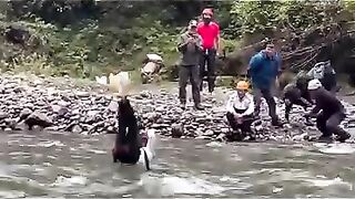 Funny videos 907